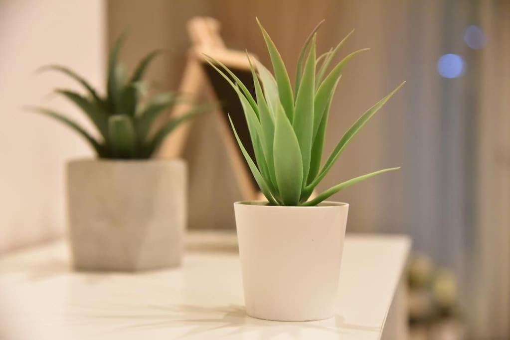 Tiny Treasure Apartment Αθήνα Εξωτερικό φωτογραφία